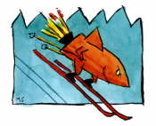 SkiRakete