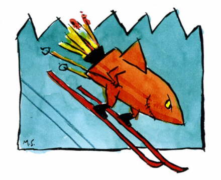 SkiRakete