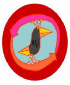 Doppelvogel1