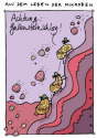 Gallenstein