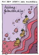 Gallenstein